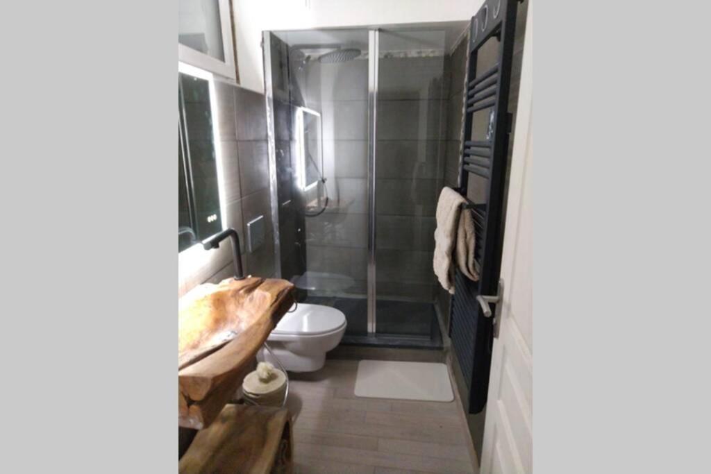 Chaleureux Petit De 4 Couchages Saint-Étienne-de-Tinée